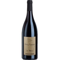 Saumur Champigny - Paterne - Antoine Sanzay