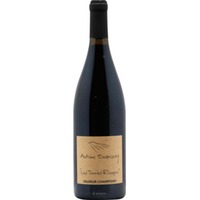 Saumur Champigny - Terres Rouge - Antoine Sanzay