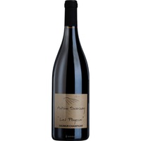 Saumur Champigny - Les Poyeux -  Antoine Sanzay