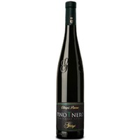 Pinot Nero Vinificato in bianco DOC - Giorgi