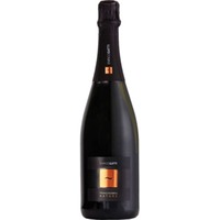 Franciacorta Nature Millesimato DOCG - Gatti Enrico