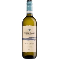 Pinot Grigio delle Venezie DOC - Terre Forti