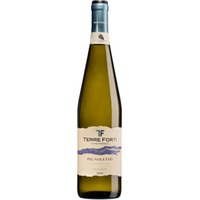 Pignoletto Frizzante - Terre Forti