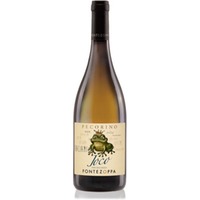 Joco Pecorino DOC Bio - Fontezoppa