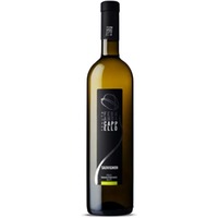 Sauvignon DOC Friuli Grave - Tenuta Fernanda Cappello
