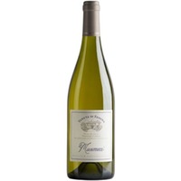 Il Musmeci - Etna Bianco Superiore DOC - Tenuta di Fessina