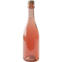 Spumante Rosé Metodo Classico 36 Mesi - Magnum - Senza Etichetta - Nesio- Casa Roma