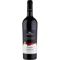 Sangiovese di Romagna Superiore DOC - Terre Cevico