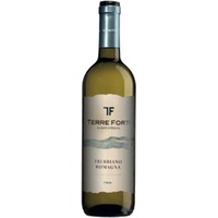 Trebbiano Romagna DOC - Terre Forti