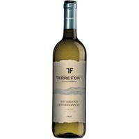 Trebbiano Chardonnay IGT - Terre Forti