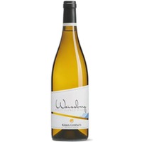 Pinot Bianco - Klaus Lentsch