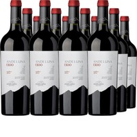 Malbec Andeluna 1300 Tupungato Mendoza