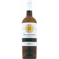 Nugnes Falanghina Campania