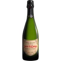 Juvé y Camps Cava »Reserva de la Familia« Brut Nature Gran Reserva Spanien Cava Sehr Trocken
