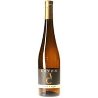 Pinot Grigio Collio DOC - Livon