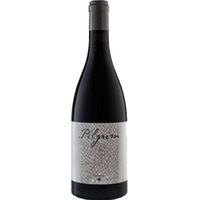 Pilgrim Shiraz