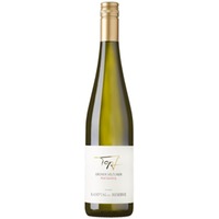 Grüner Veltliner Kamptal DAC Ried Gaisberg - Weingut Reinhard Topf