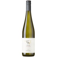 Riesling Kamptal DAC Ried Gaisberg - Weingut Reinhard Topf