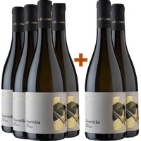 4+2 Paket Essentia Grillo Sicilia DOC - Don Tomasi