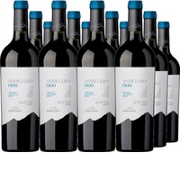 Cabernet Sauvignon Andeluna 1300 Tupungato Mendoza
