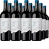 Cabernet Sauvignon Andeluna 1300 Tupungato Mendoza 