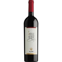 Nino Negri Sfursat 5 Stelle Sforzato, Sforzato di Valtellina DOCG, Lombardei, 2021, Rotwein
