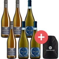 6er-Paket Pinot Grigio vs. Grauburgunder + Weinfreunde Kühlmanschette - Weinpaket