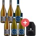 6er-Paket Pinot Grigio vs. Grauburgunder + Weinfreunde Kühlmanschette - Weinpaket 