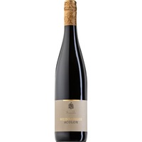 Maindsüden Acolon feinfruchtig - Weingut Meintzinger