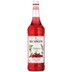 Monin Cranberry Sirup Literflasche 