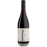 Pago Casa Gran Falcata Tinto