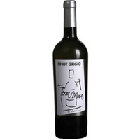 Pinot Grigio Venezia DOC Terra Musa
