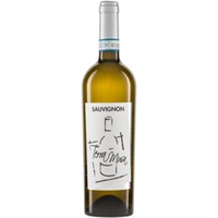 Sauvignon Blanc Lison Pramaggiore DOC Terra Musa