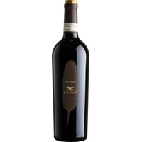 Valpolicella Ripasso Classico Superiore DOC Giuseppe Campagnola