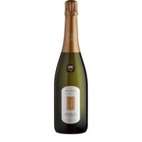 Adami  Dei Casel DOCG Valdobbiadene Prosecco Extra Dry - NV  - Veneto, Italien