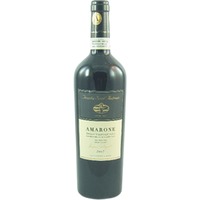 Amarone Selezione Castagnedi Tenuta Sant`Antonio