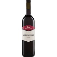 Spätburgunder Gutswein QW Knobloch Biowein