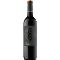 Bodegas Costers del Sió Cau Del Gat Costers Del Segre DOP - - Katalonien, Spanien