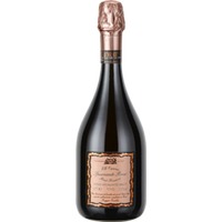 Ca' De' Medici  Spumante Rose Brut Riserva Caprari VSQ - NV  - Emilia-Romagna, Italien