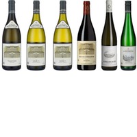 Verkostungspaket Gobelsburg