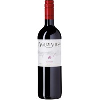 Merlot Vina Valdivieso