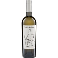 Pinot Grigio Venezia DOC Terra Musa Biowein