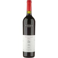 Tannat Reserve 'Rio de Las Pajaros' - Pisano
