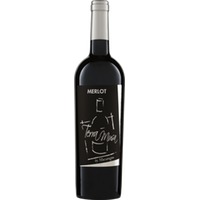 Merlot Venezia DOC Terra Musa Biowein
