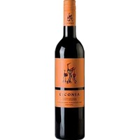 Ciconia Tinto Vinho Regional Alentejano Casa Agricola Alexandre Relvas
