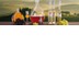 Alte Waldhimbeere Spirituose, 40% vol 