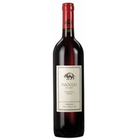 Insoglio del Cinghiale Campo di Sasso Biserno