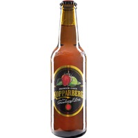 Kopparberg Erdbeere-Limette 24er-Karton