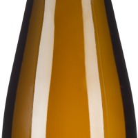 Riesling Ried Steinmassl 1ÖTW Erste Lage