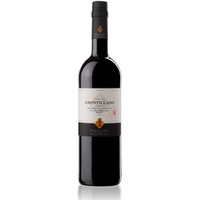 Fernando de Castilla - Sherry Amontillado Classic Jerez D.O